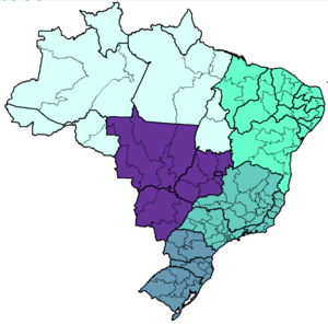 Macrorregiões de saúde. Departamento de Gestão Interfederativa e Participativa (DGIP/MS), 2022.